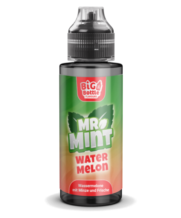 Mr. Mint by Big Bottle - Longfills 10 ml - Watermelon