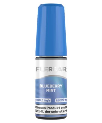 Flerbar Liquid - Nikotinsalz Liquid - Blueberry Mint
